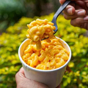 a bowl of macaroni and cheese