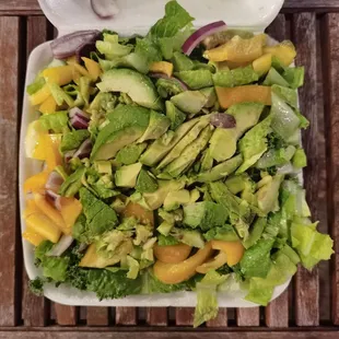 Vegan Snack Shack