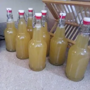 A fresh batch of Spanish Cidre' I just bottled.  A Spanish Apple Cider Champagne . . .