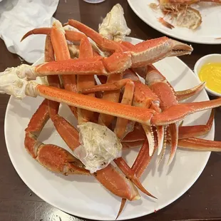 Snow Crab