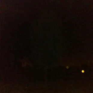 I took a bunch of photos in a row of this tree, only two came back with these two balls of light or what could be "orbs"