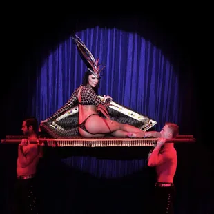 Stunning show girls...