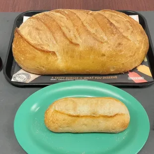 Mega Torta, 10 times bigger than a regular torta