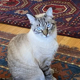 Malati Marlene S.