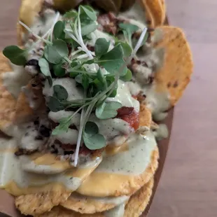 Loaded Nachos