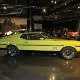 1973 Mach 1 - I bought this exact car when I was 24 years old; drove it off the showroom floor for $3K.... amazing!!!