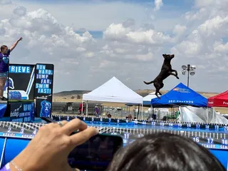 Arapahoe County Fair