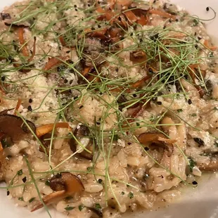 Mushroom Risotto