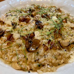 Risotto Funghi