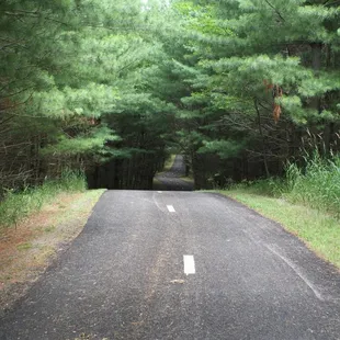 Hot Rod Alley Driving In!