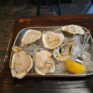 Oysters