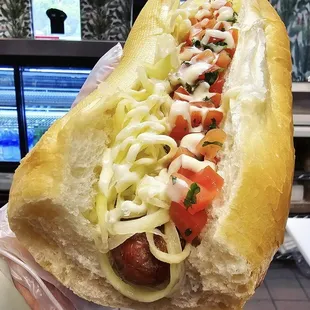 sandwich, food, hot dogs, hot dog