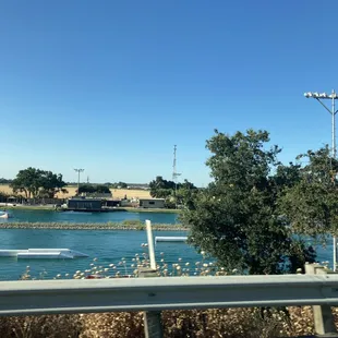 View of the pool from freeway