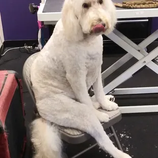 Just gonna leave this here