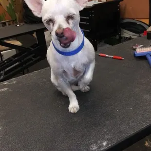 Totally mr. Cool guy