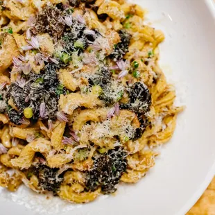 pasta dish, food, pasta