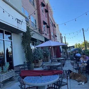 Outdoor patio, in the shade and cool in the morning