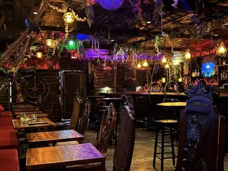 Stray Pirate - Tropical Cocktails and Effects