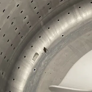 Roaches in washer