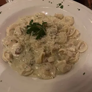 Tortellini Linda