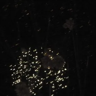 fireworks 2011