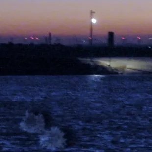 sun setting on the river