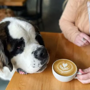 Vanilla Latte at Venn Brewing.