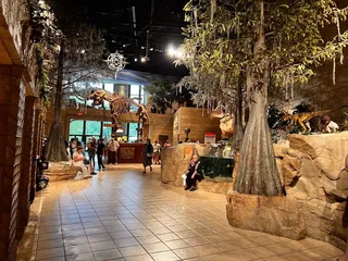 Creation Museum