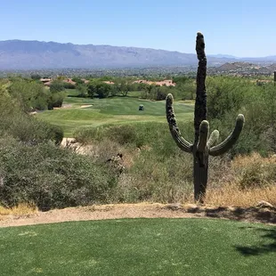 Mountain course