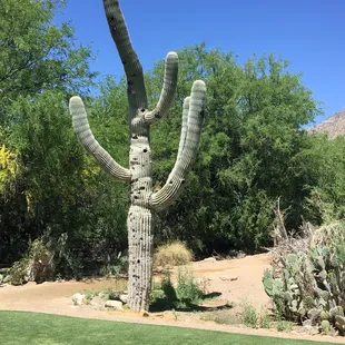 First tee mountain course
