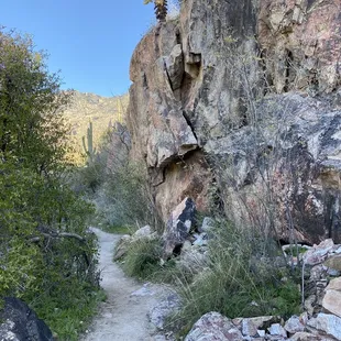 Part of the trail at the beginning