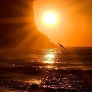 My dreams. Peaceful place.