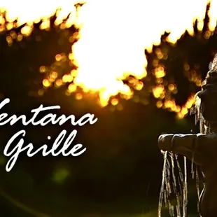 a bird perched on a fountain