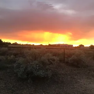 Dog Park Sunset