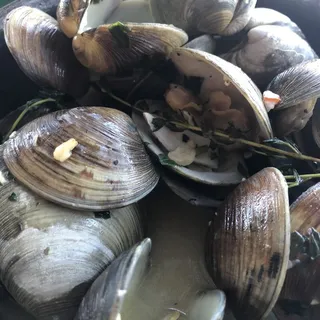 Steamed Clams White