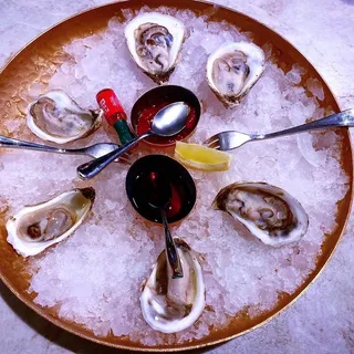 OYSTERS*