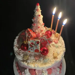 a christmas cake with lit candles