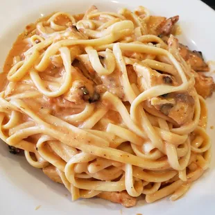 Chicken Pasta Alfredo