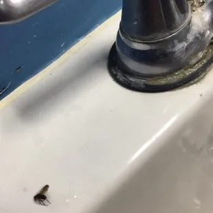 Venus Pizza restroom 5/8/15