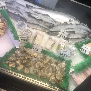Fish and shellfish - nice and fresh