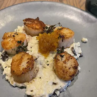 Scallops