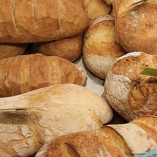 a variety of breads