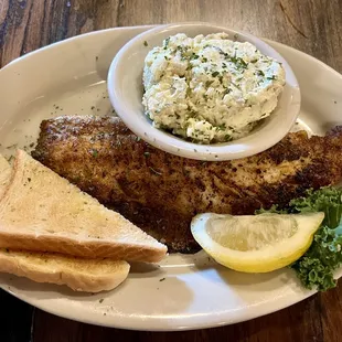 Blackened Speckled Trout Plate with Potato Salad (also included a side salad).