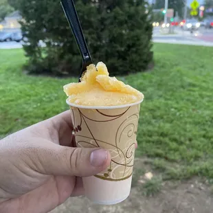 Vera's Mango Water Ice