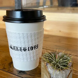 Oat milk latte  &amp; one of their tiny plants