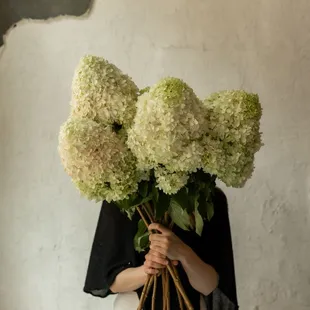 Flowers for walk in and delivery everyday of the week!