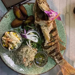 Red Snapper