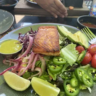 Salmon