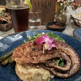 Pulpo