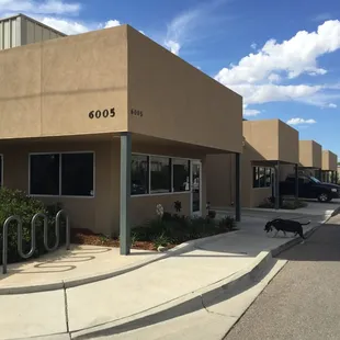 Entrance from SE angle